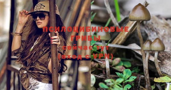 метадон Кирс