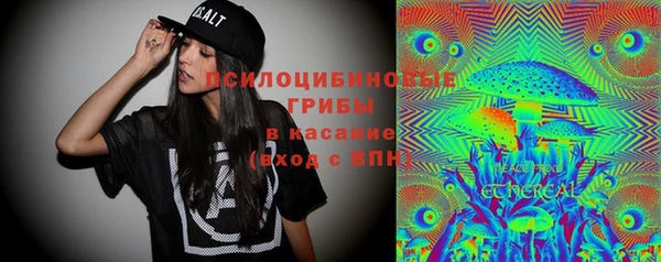синтетический гашиш Киселёвск