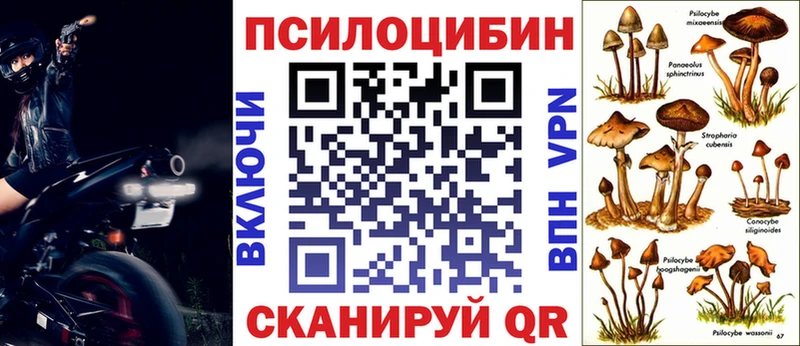 Купить где  Калач-на-Дону  Галлюциногенные грибы мухоморы